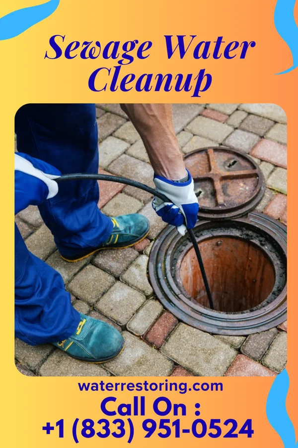 Sewage Water Cleanup in Lake of the Woods, VA