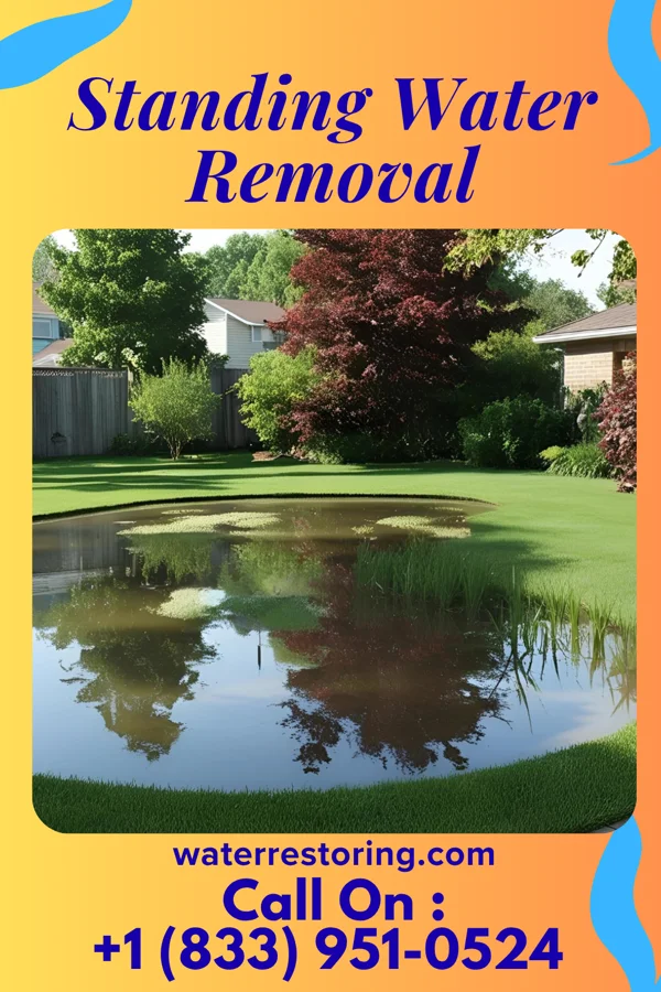 Standing Water Removal in Lake of the Woods, VA